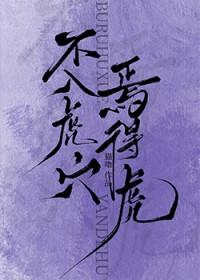不入虎穴焉得虎子拼音
